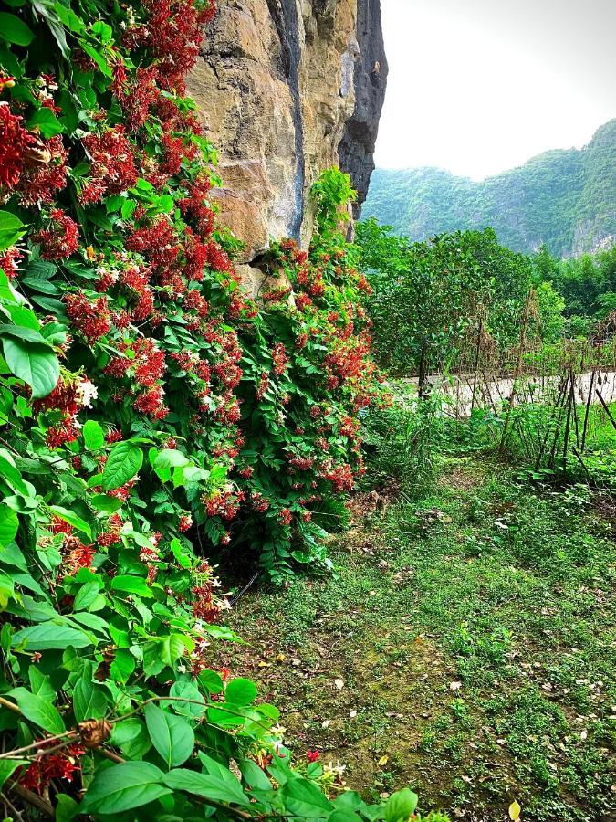 Trang An Valley Bungalow Ninh Binh Dış mekan fotoğraf